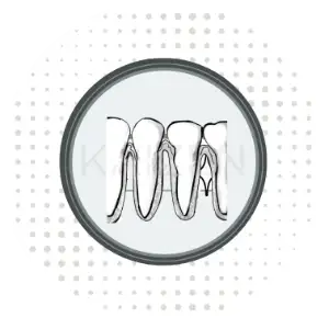 Icono de Salud ósea y gingival